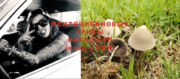мяу мяу мука Балахна