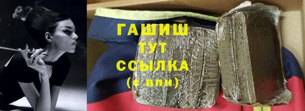 сатива Беломорск