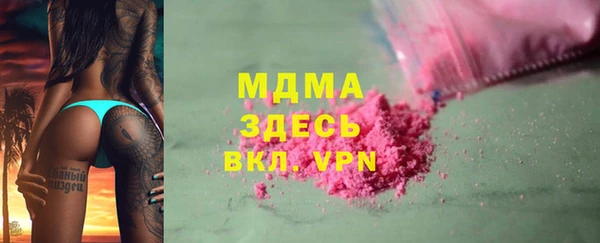 сатива Беломорск