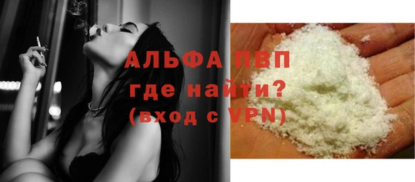 сатива Белоозёрский