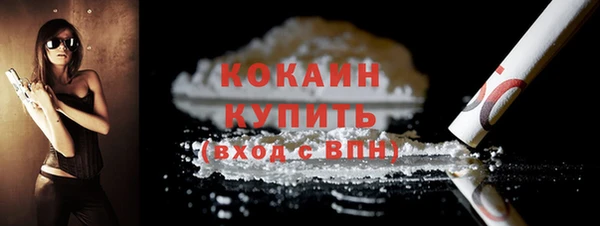сатива Беломорск