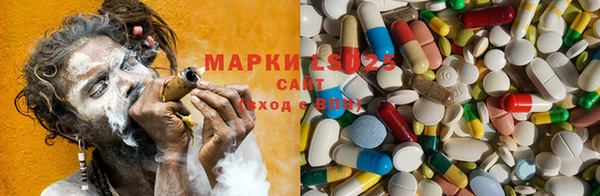сатива Белоозёрский