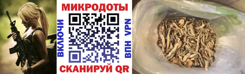 мега как зайти  Невель  Псилоцибиновые грибы Psilocybe 